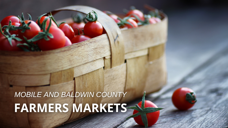 Fresh Produce and More - Mobile and Baldwin County, AL | Bellator Real Estate & Development